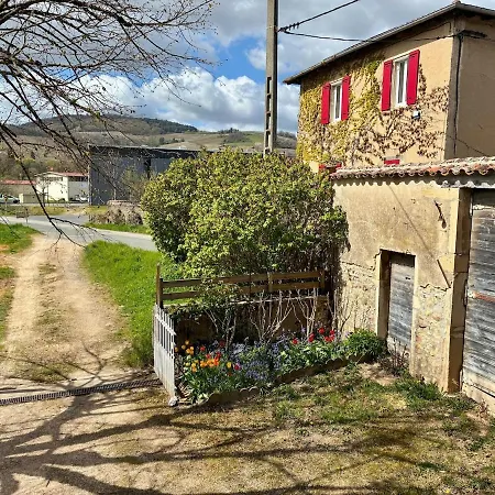 Holiday home La Maison Des Vignes - Beaujolais
