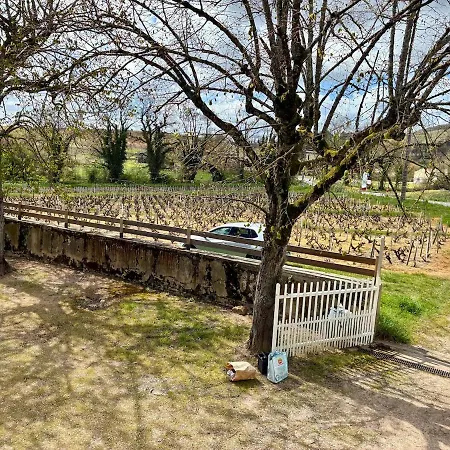 La Maison Des Vignes - Beaujolais